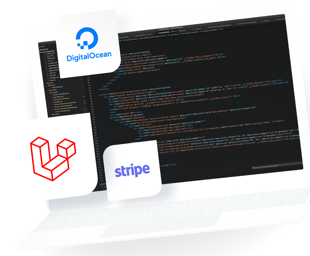 Software &<br>Platform Strategy